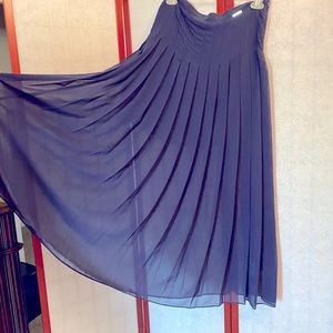 Beautiful sheer skirt